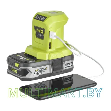 Аккумулятор Ryobi R18USB-0 5133004381 (без батареи) картинка 6